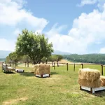 Apartment In Collesalvetti Near Pisa