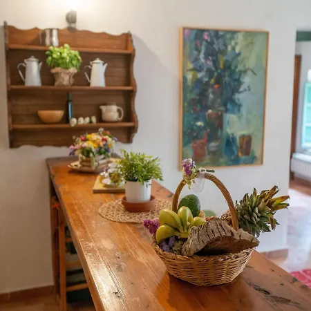 Apartment In Collesalvetti Near Pisa