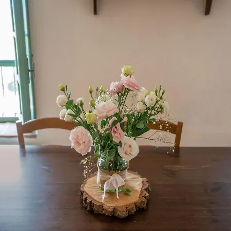 Charming In Collesalvetti With Garden Hébergement de vacances