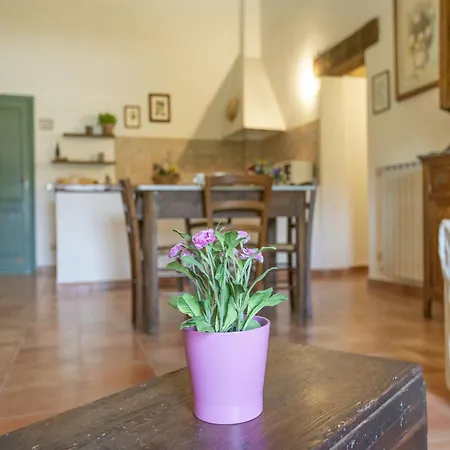 Charming In Collesalvetti With Garden Hébergement de vacances Guasticce