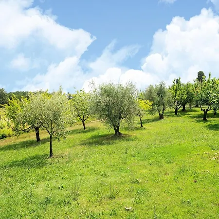 Charming In Collesalvetti With Garden * Guasticce
